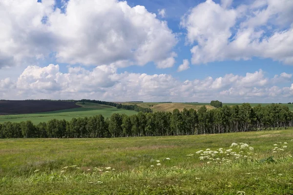 Yaz düz yatay, tarım alanları ve ormanlık arazi.