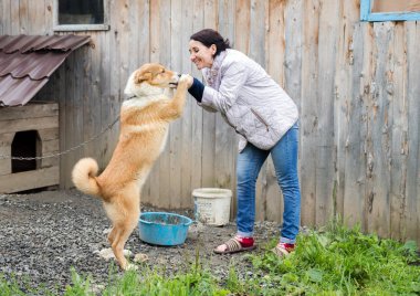 Bir kadın ile bir köpek bir ahşap kulübe arka plan üzerinde oynuyor.