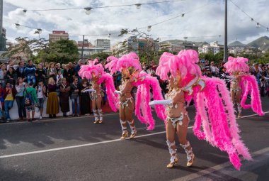 Kadınlar dans pembe tüylü Kostüm giymiş bir sütunda.