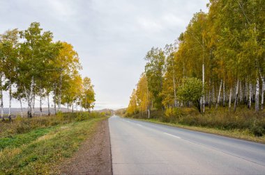 Sonbahar road, sarı ağaçları arasında gidiyor.