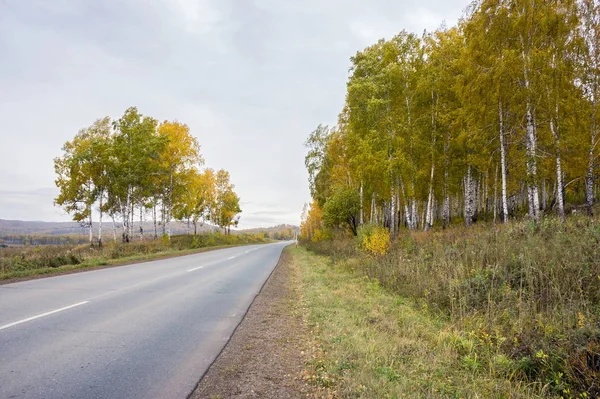 Sonbahar yol, uzak, ağaç sarı yapraklar ile geçmiş gidiyor.