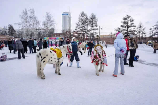 Biniciler için bekleyen buz gibi bir kasabada giyinmiş atlar stand. — Stok fotoğraf