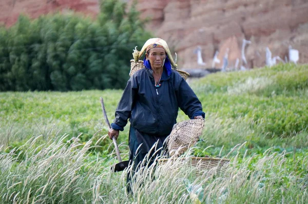 Chhusang Bovenste Mustang Nepal Augustus 2014 Nepalese Vrouw Gaat Naar — Stockfoto