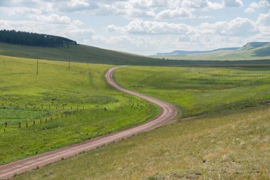 Kırsal toprak yol boyunca yeşil bozkır ufuk ötesine gider.