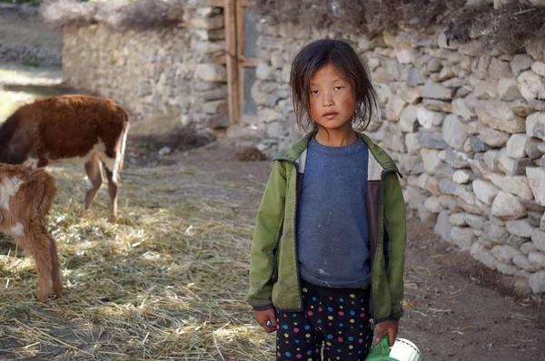 Tsarang Upper Mustang Nepal August 2014 Little Girl Tibetan Nationality — Stock Photo, Image