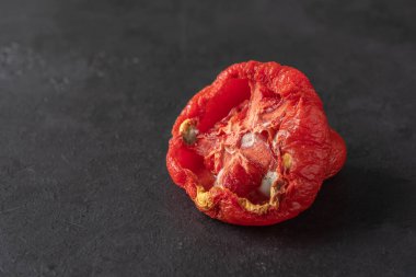 Siyah arka planda bozulmuş domates. Küflü domates. Sebzelerin uygunsuz depolanması. Yemek israfı. Kapat.