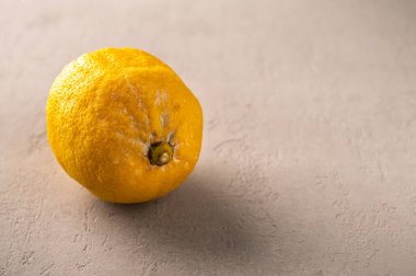Hafif bir arka planda şımarık limon. Küflü sebzeler. Sebzelerin uygunsuz depolanması. Yemek israfı. Kapat.