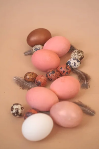 Пасхальные Яйца Окрашены Пастельные Цвета Кремовом Фоне — стоковое фото
