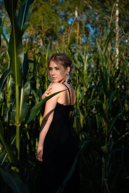 Yazın mısır tarlasında yeşil yapraklar arasında siyah elbiseli, kolyeli ve küpeli genç bir kadının yakın çekimi. Mücevher tarzı fotoğraf çekimi.