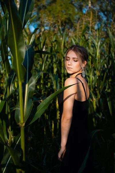 Close-up of young woman in black dress, necklace and earrings between green leaves in a corn field in summer. Jewelry fashion style photo session.