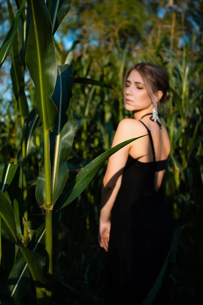 Close-up of young woman in black dress, necklace and earrings between green leaves in a corn field in summer. Jewelry fashion style photo session.