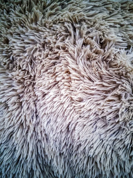 Texture of shaggy fur — Stock Photo, Image