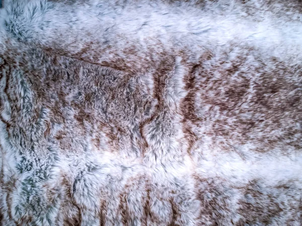 Текстура лохматого меха — стоковое фото