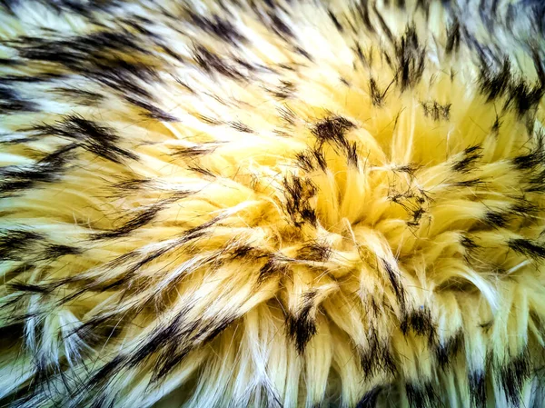 Texture de fourrure shaggy — Photo