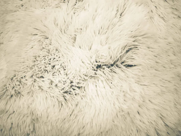 Texture of shaggy fur — Stock Photo, Image