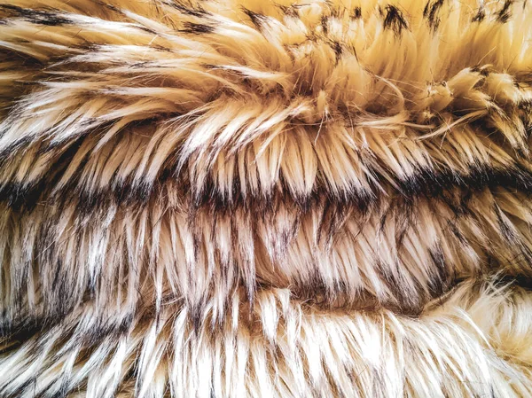 Texture of shaggy fur — Stock Photo, Image