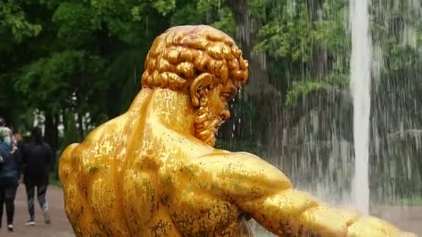 Golden Fountains in Russia — Stock Video