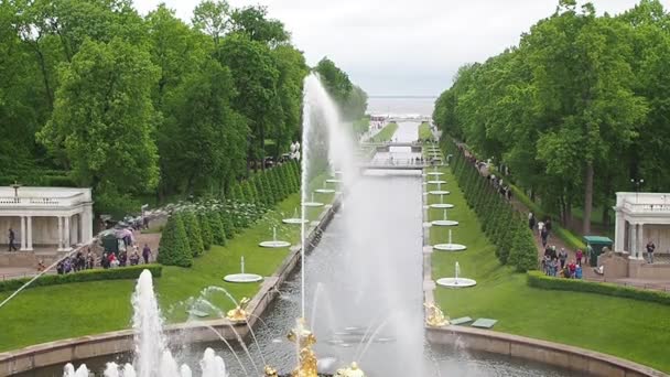 Fontaines dorées en Russie — Video