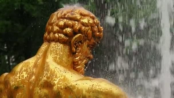 Golden Fountains in Russia — Stock Video