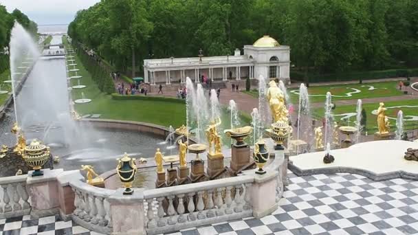 Golden Fountains in Russia — Stock Video
