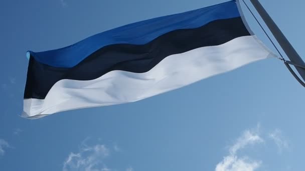 Estonya bayrağı — Stok video