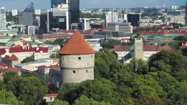 Verão vista Tallinn velho — Vídeo de Stock