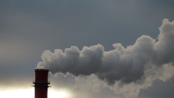 Humo de una pipa — Vídeos de Stock