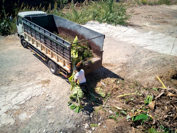 Agricultor que trabaja en la granja — Foto de Stock