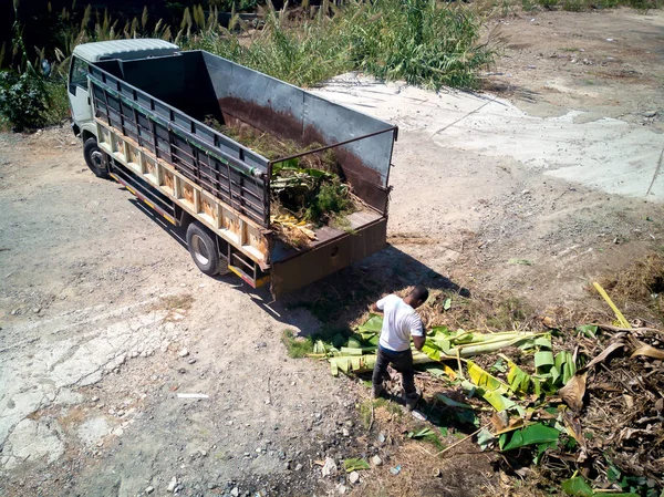 Agricultor que trabaja en la granja — Foto de Stock