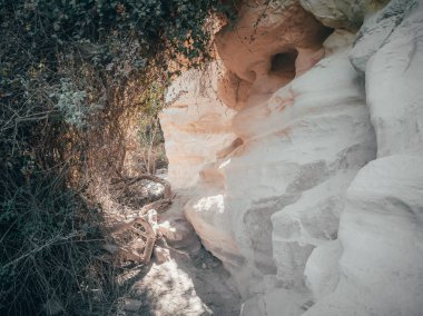Akamas 'taki Avakas Vadisi