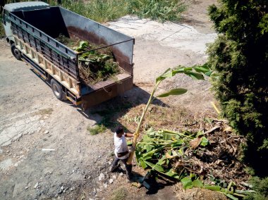  Çiftlikte çalışan çiftçi.