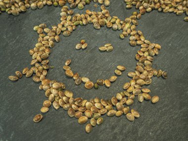 esrar ya da marihuana tohumları