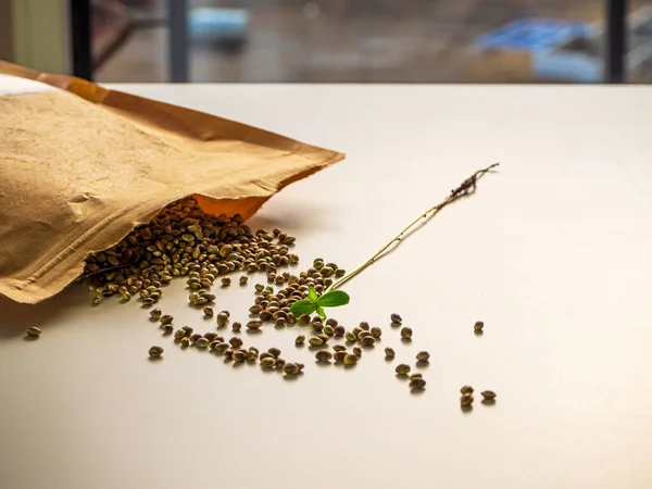 Sementes de cannabis ou maconha — Fotografia de Stock