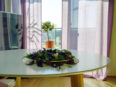  Sağlıklı Yeşil Yemek 