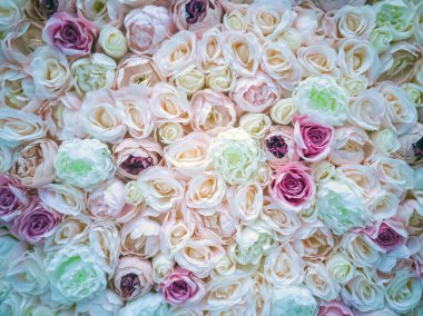 Arkaplan için güzel çiçekler