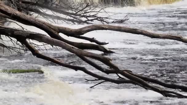 瀑布的水流 — 图库视频影像