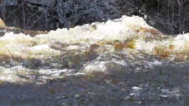 Flux d'eau de cascade — Video