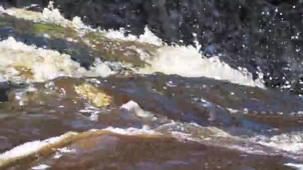 Ruscello di acqua della cascata — Video Stock
