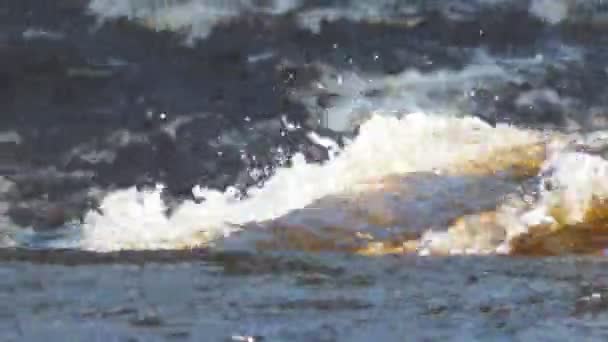 Fluxo de água da cachoeira — Vídeo de Stock