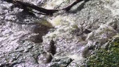 Şelalenin Su Akıntısı