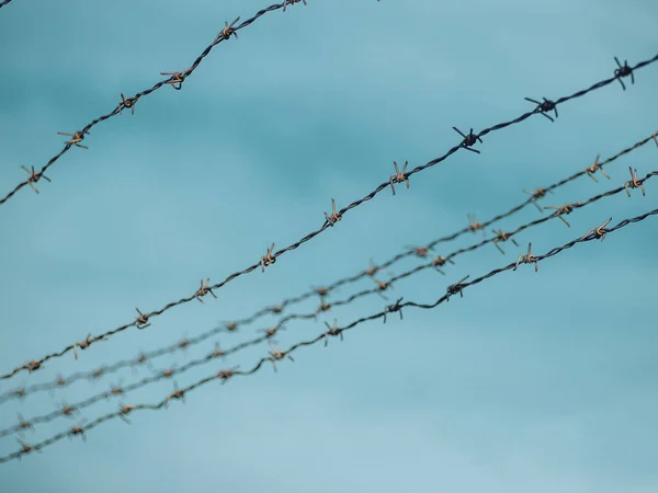 Säkerhetsstängsel Fängelset Gamla Rostiga Taggtråd — Stockfoto