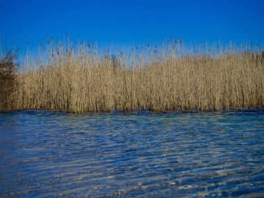 Gölün su yüzeyi. Terk Edilmiş Rummu Taş Ocağı, Estonya.