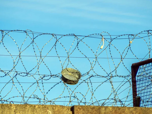 Begränsat Område Barbed Fence Betongvägg Mot Bakgrund Taggtråd Begreppet Fängelse — Stockfoto