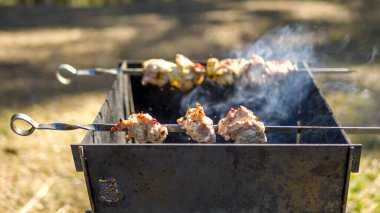 Kızarmış kömürde ızgara. Arkaplanda orman