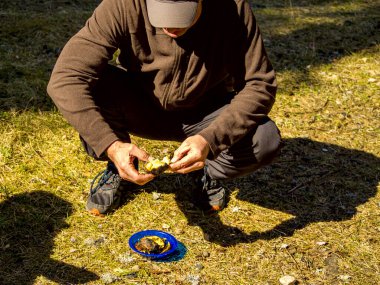 Zavallı adam yerde oturuyor ve ızgara patates soyuyor. Tarlada olgun patatesleri tutan bir çiftçi resmi.