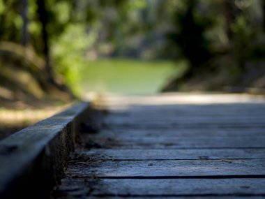 Seçici odaklanma. Arkasında yeşil göl olan boş ahşap iskele. 