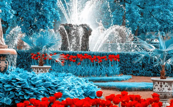 Garden of Eden. Toned image. Garden flowers. fountains in the background. Colorful Spring Tulips.