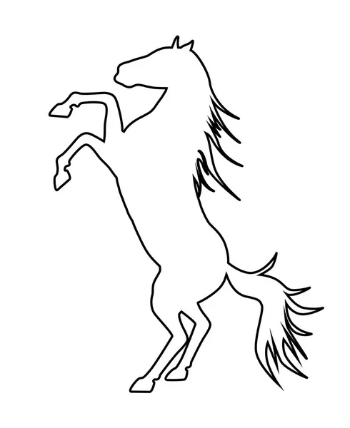 Silueta koně — Stockový vektor