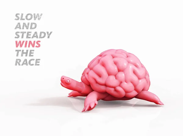 Slow and steady wins the race. Turtle brain 3D illustration — Stock Photo, Image