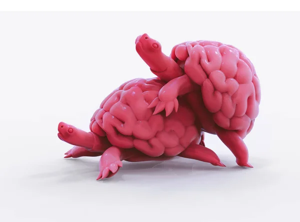 Dos tortugas cerebrales lentas teniendo sexo. Ilustración 3D — Foto de Stock